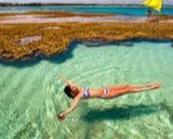 PORTO DE GALINHAS, RECIFE/PE - 12X SEM JUROS